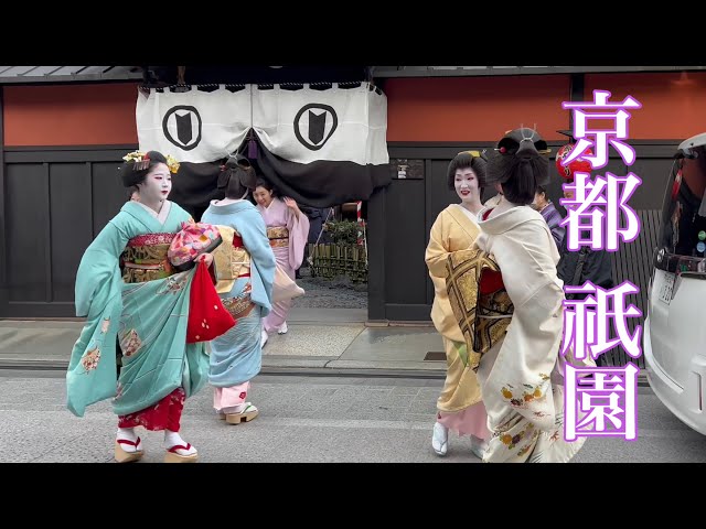 【4K】京都祇園 花見小路を往く舞妓さんたち Maiko and Geisha in Gion 2023年3月