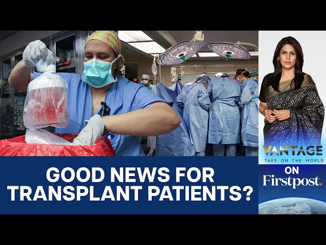 In a First, Pig Kidney Transplanted Into a Living Human | Vantage with Palki Sharma