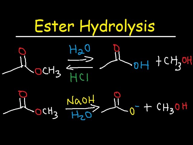 Ester Hydrolysis Reaction Mechanism - Acid Catalyzed & Base Promoted   Organic Chemistry