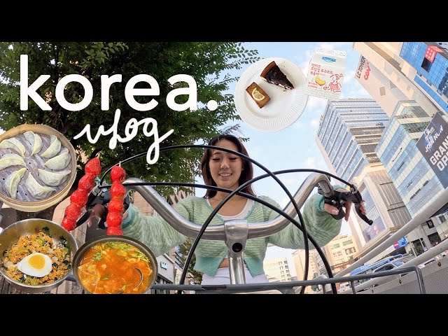 KOREA VLOG 🇰🇷 what I eat, exploring Seoul, trendy cafes, shopping, sunset biking, girls trip