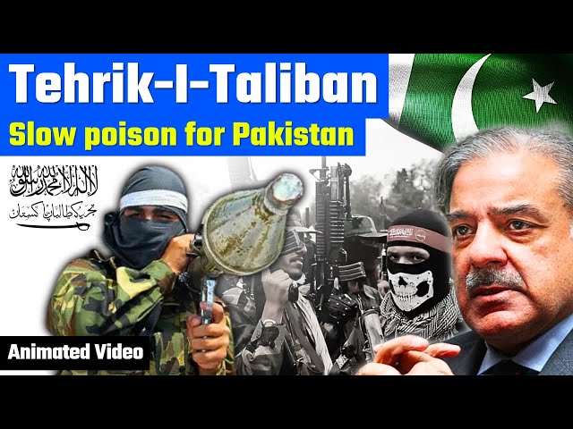 Will Pakistan be able to survive against Pakistani Taliban | World Affairs