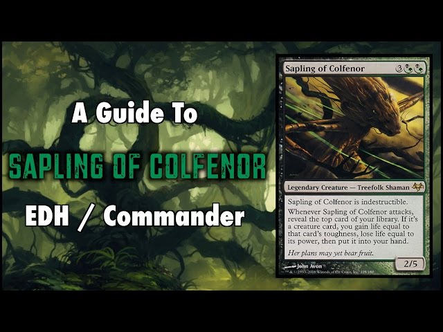MTG - Treefolk Tribal - A Guide To EDH / Commander Sapling of Colfenor for Magic: The Gathering