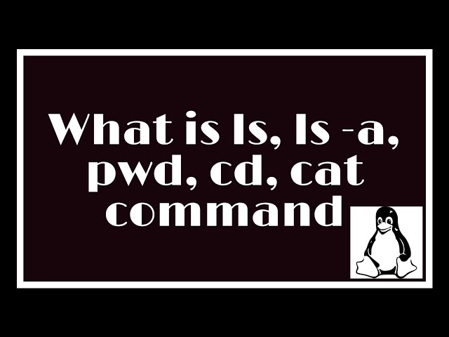 What is ls, ls -a, pwd, cd and cat command in linux