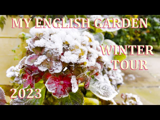 Winter Back Garden Tour - My English Garden  -  2023