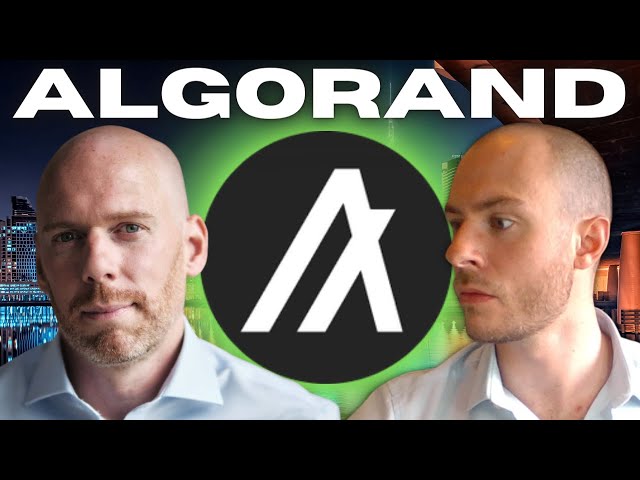 Algorand ALGO Interview With The Foundations CTO John Wood! AlgoKit Could Unlock Millions Of Users..