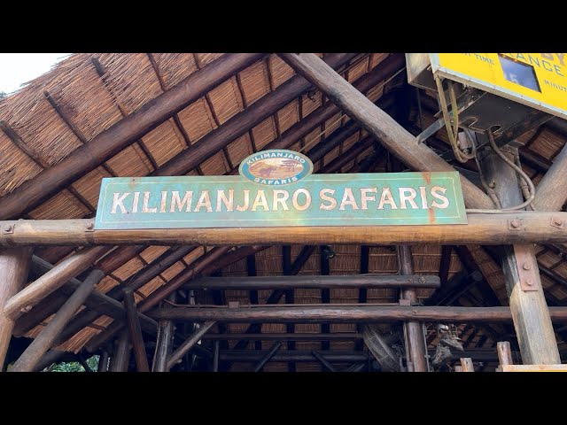 We Saw Lots of Animals on a Safari | Full Tour of Kilimanjaro Safaris Ride at Animal Kingdom Park