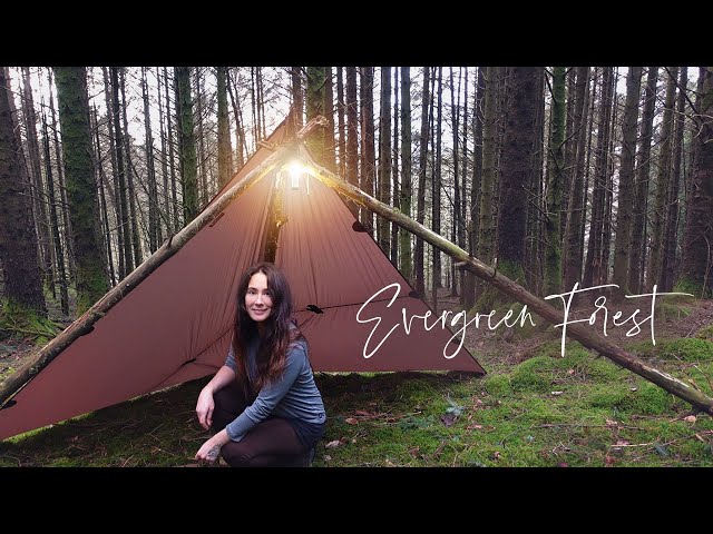 Solo Tarp Wild Camping in a Mountain Forest 🌿