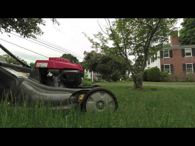 Cutting the Grass - VR180