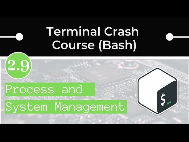 Process and System Management on Linux and Mac (Bash)