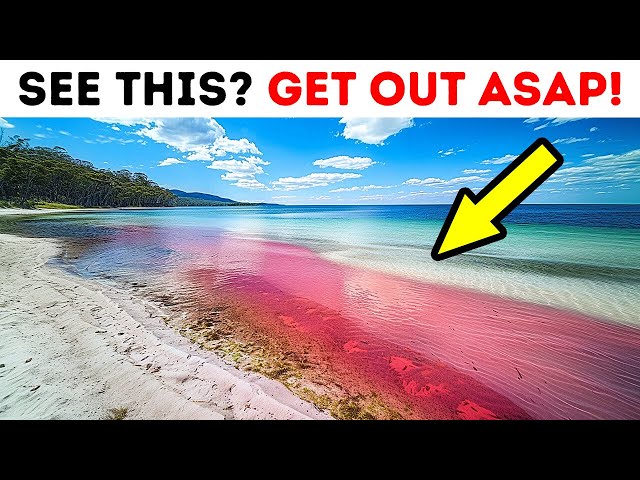 15 Phenomena You Won't Believe Exist – Run Before It's Too Late!
