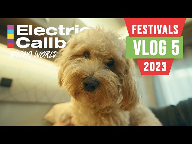 Electric Callboy - VLOG 5 // Festivals 2023 // ROCCO DEL SCHLACKO - TAUBERTAL - ALCATRAZ