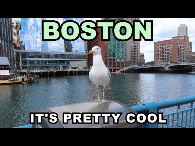 BOSTON: It's Pretty Cool
