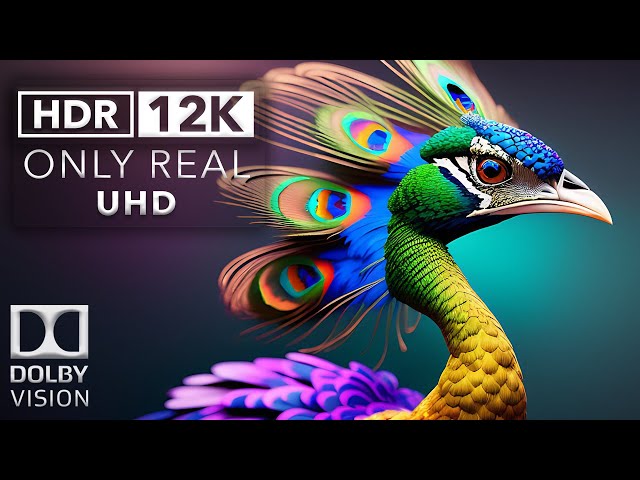 12k HDR 60FPS | DEEP COLOR | Dolby Vision
