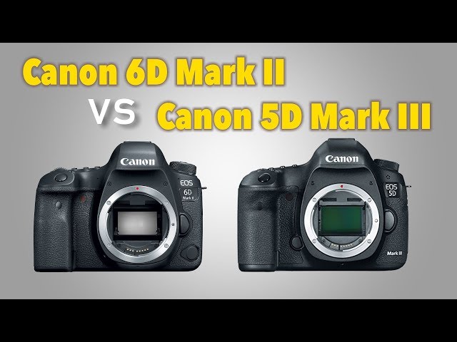 Обзор-тест Canon 6D Mark II в сравнении с Canon 5D Mark III