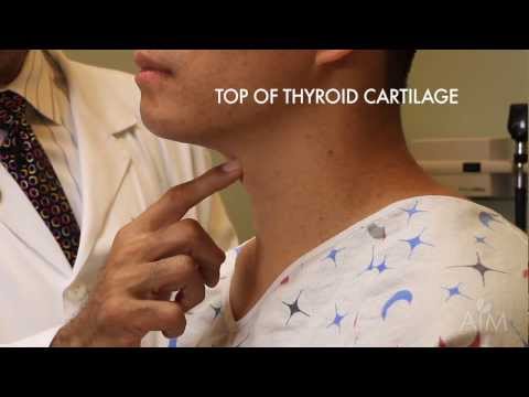 Stanford Medicine 25: Thyroid Exam