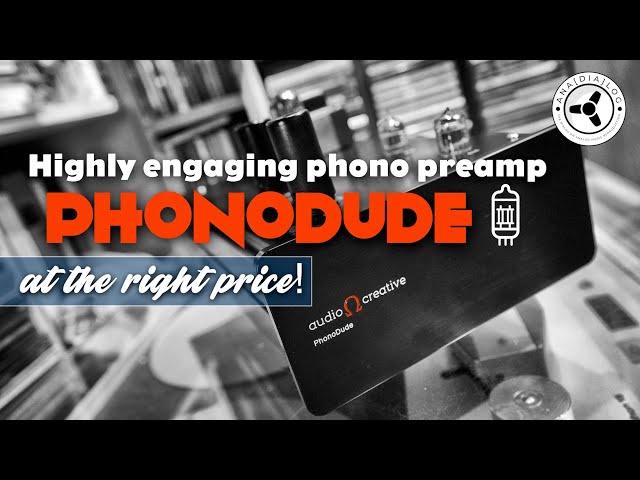 A highly engaging tube phono preamp...at the right price!