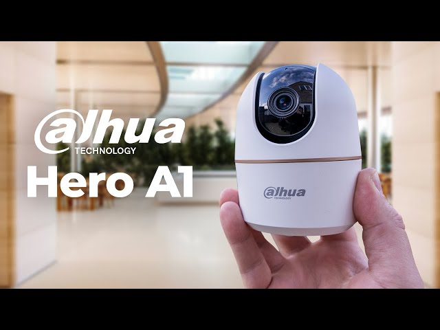 Dahua 360 Camera's - Keep Your Business Secure!