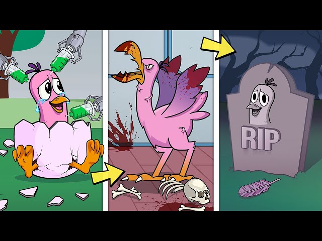 BIRTH to DEATH of OPILA BIRD?! Garten of Ban Ban Animation