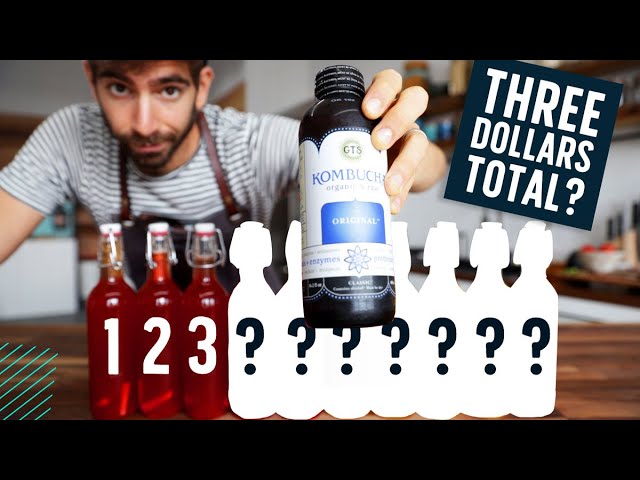 Brewing 10 Bottles of Kombucha for the Price of One?