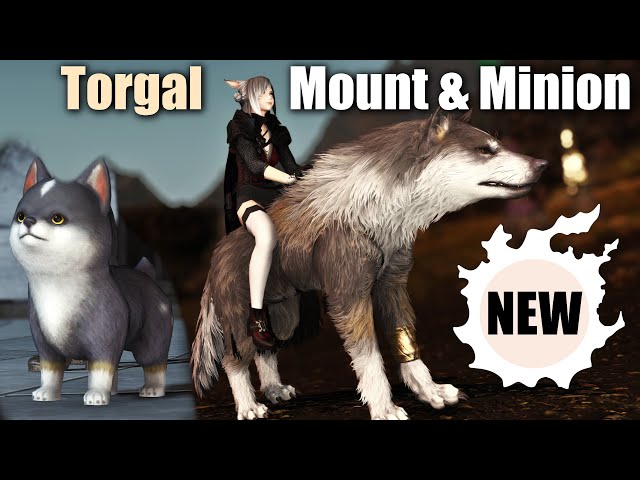 NEW Torgal Mount & Torgal Pup | In-Game Showcase | 4K UHD
