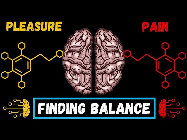 How to Balance Your Pleasure System - Dr. Andrew Huberman