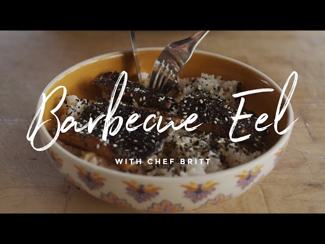 Barbecue Eel | Unagi | Kabayaki