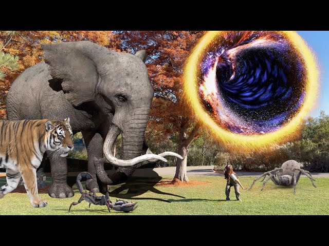 Multiverse Adventure Stories For Kids | Soso Lands Into A World of Large Animals and Insects