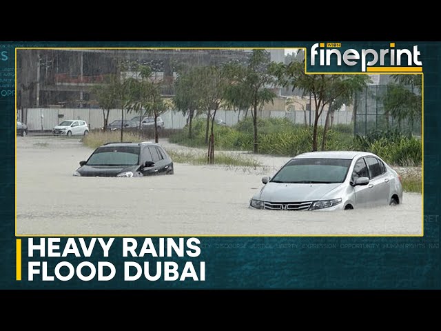 Heavy rain and flash flood warnings sweep the Gulf | Latest News |WION Fineprint