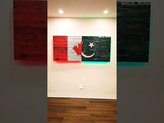 Canadian Grown 🇨🇦 with Pakistani Roots🇵🇰 #canada #pakistan #flag #mancave #interiordesign #art
