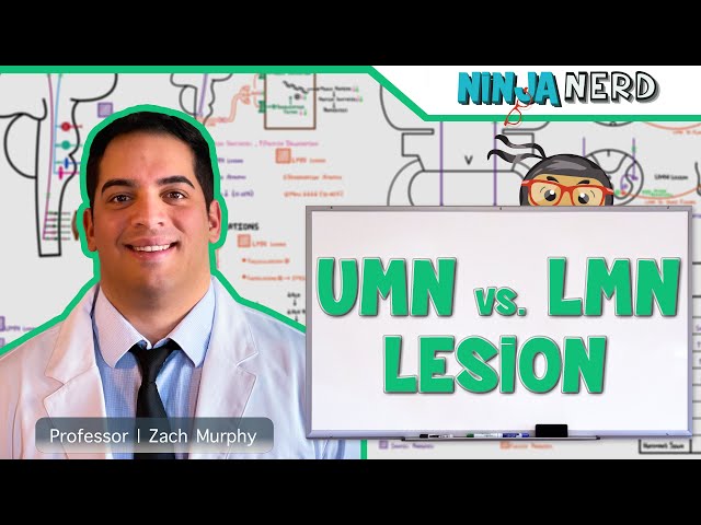 Neurology | Upper Motor Neuron vs Lower Motor Neuron Lesion | UMN vs LMN Lesion