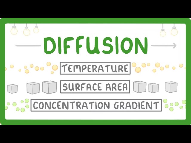 What is Diffusion? How Does it Work? What Factors Affect it? #7