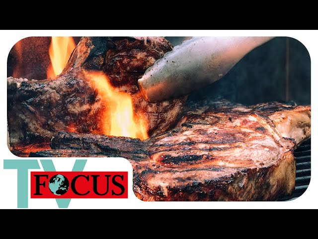 Der Grill-Olymp! BBQ-Profis und Hobby-Köche im Grillfieber! | Focus TV Reportage