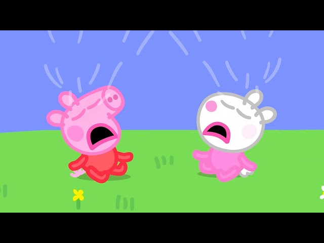 Baby Peppa And Baby Suzy! 🍼 | Peppa Pig Official Full Episodes
