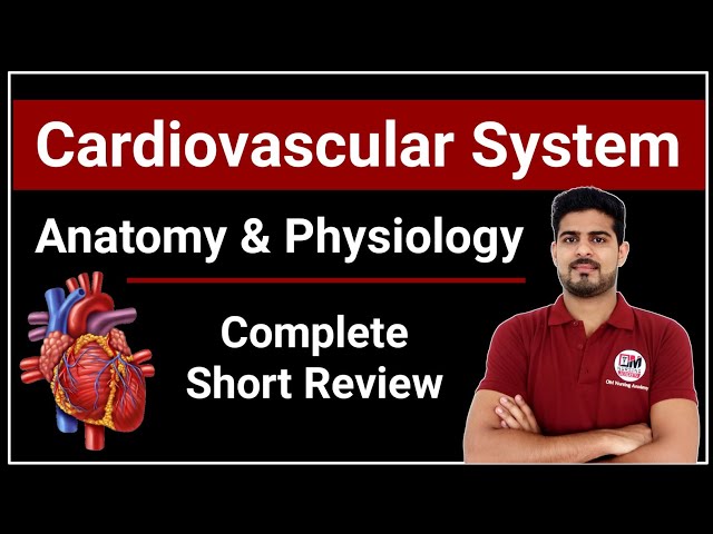 Cardiovascular System Anatomy & Physiology Complete Short Review