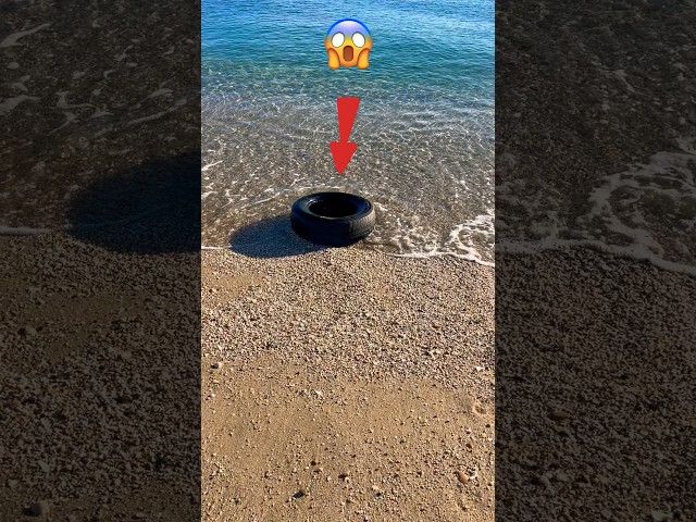 Incredible rescue! Saving 2 Octopuses 🐙 stuck in a tire 🥺 #shorts