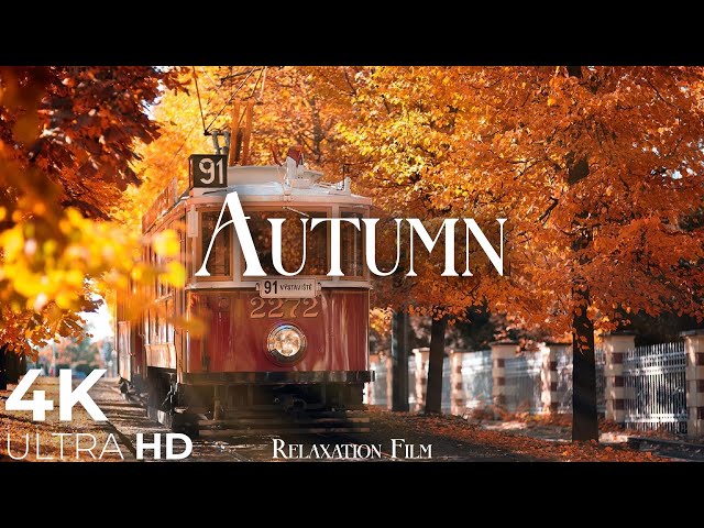 Autumn 4K • Scenic Relaxation Film with Peaceful Relaxing Music and Nature Video Ultra HD