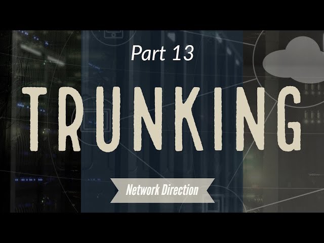 VLAN Trunk Links | Network Fundamentals Part 13