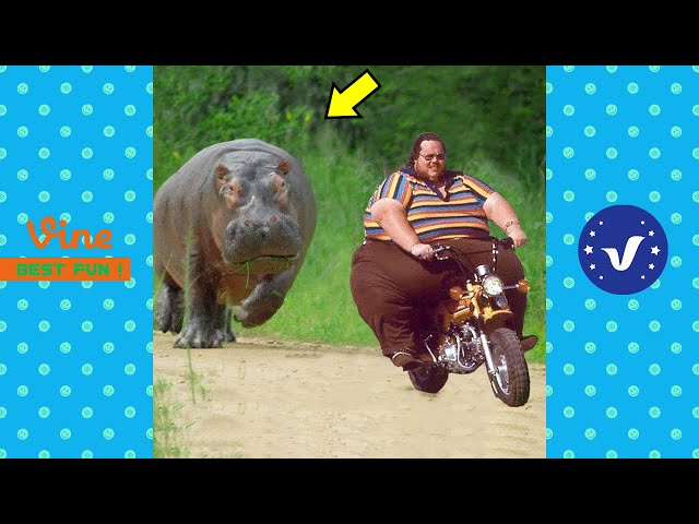 BAD DAY ??? Better Watch This 1 Hours Best Funny & Fails Of The Year 2024 Part 4