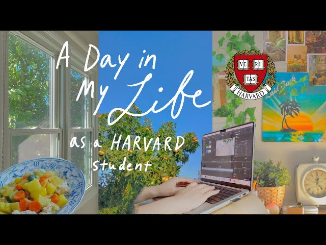 a day in my life as a harvard student | summer at home, picnic, course selection