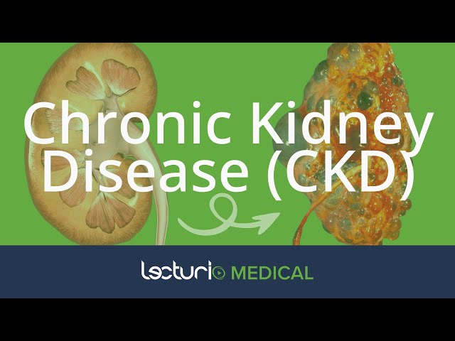 Chronic Kidney Disease (CKD): Causes | Nephrology