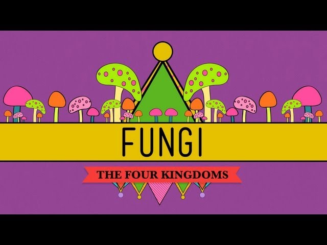Fungi: Death Becomes Them - CrashCourse Biology #39