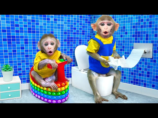 KiKi Monkey help Naughty Baby experience Pop It Toilet | KUDO ANIMAL KIKI
