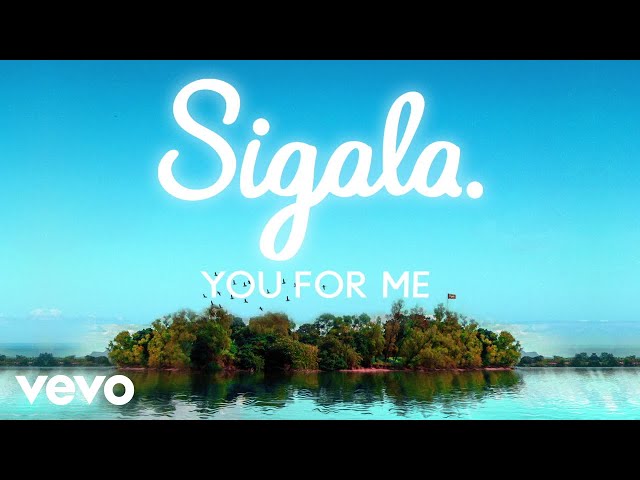 Sigala, Rita Ora - You for Me (Lyric Video)