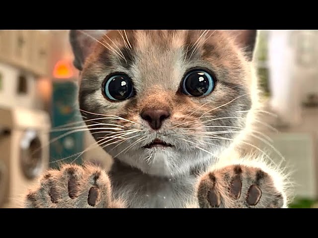 Little Kitten Preschool Adventure Educational Games -Play Fun Cute Kitten PetCare Learning Game #980