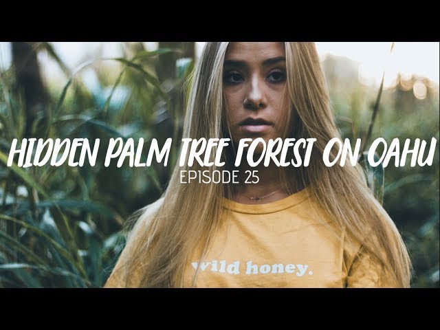 HIDDEN PALM TREE FOREST ON OAHU | Haole Vlog - Episode 25