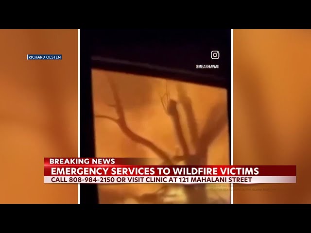 Emergency services are available for wildfire victims