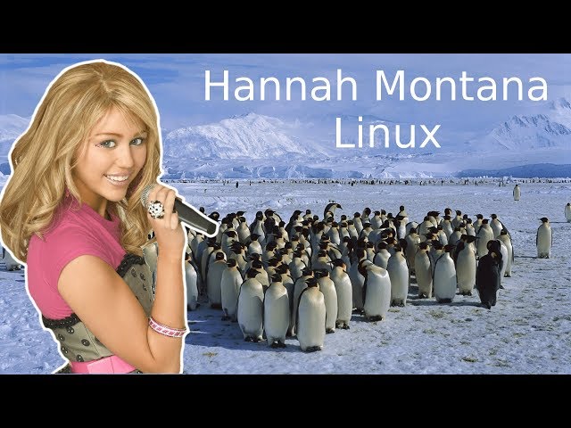 Hannah Montana Linux