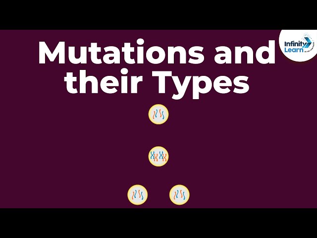 Genetics - Mutations and their Types - Lesson 20 | Don't Memorise