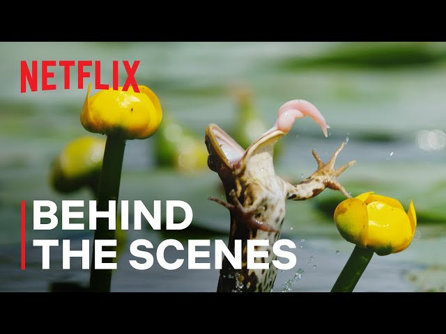 Our Living World | Shooting Frogs | Netflix