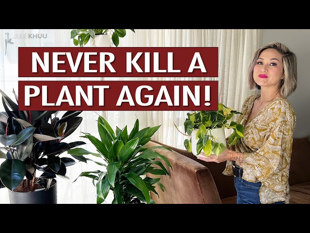 NEVER KILL A PLANT AGAIN! 21 Ways To Keep Your Indoor Plants Alive (Genius & EASY!) 🪴